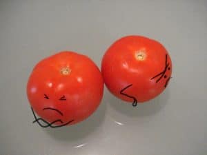 morguefile-two-tomatos-edited.jpg